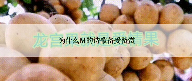  为什么M的诗歌备受赞赏