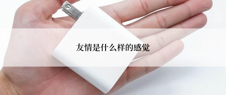 友情是什么样的感觉