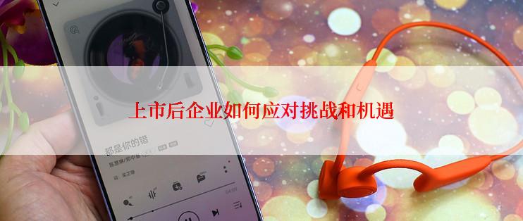 上市后企业如何应对挑战和机遇