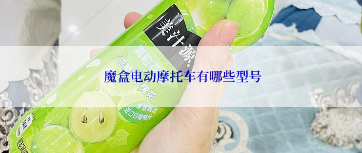  魔盒电动摩托车有哪些型号