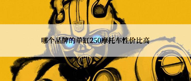 哪个品牌的单缸250摩托车性价比高