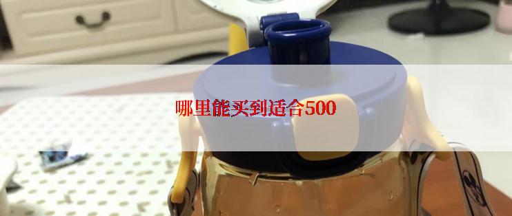 哪里能买到适合500