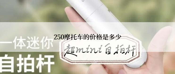 250摩托车的价格是多少