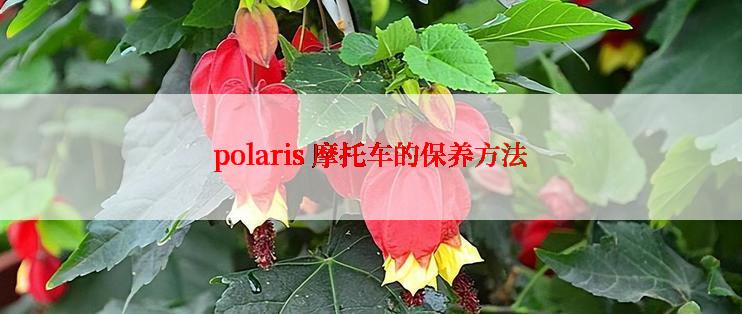 polaris 摩托车的保养方法