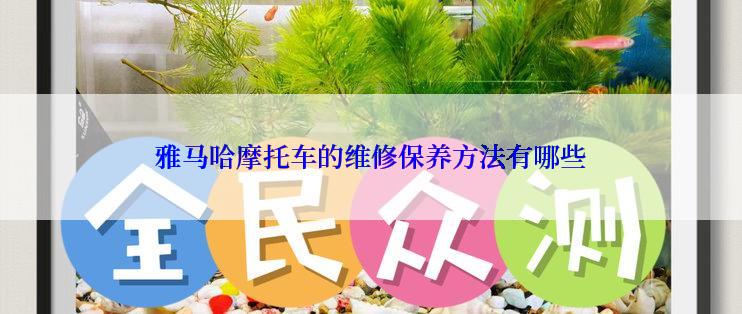 雅马哈摩托车的维修保养方法有哪些