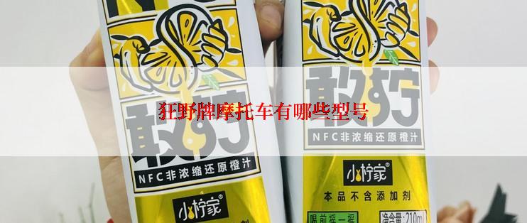 狂野牌摩托车有哪些型号