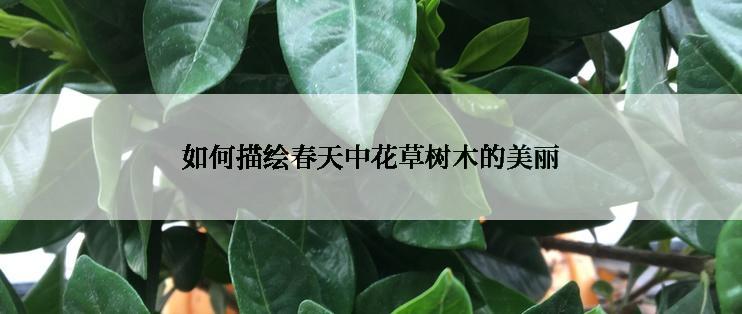 如何描绘春天中花草树木的美丽