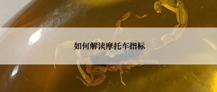  如何解读摩托车指标