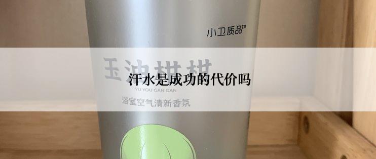  汗水是成功的代价吗