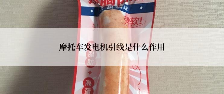 摩托车发电机引线是什么作用