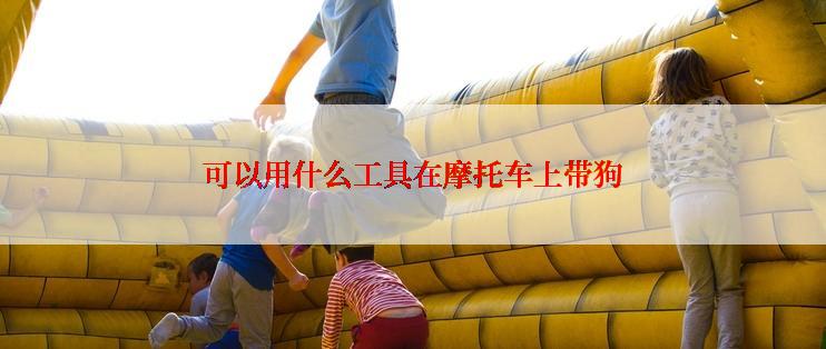 可以用什么工具在摩托车上带狗