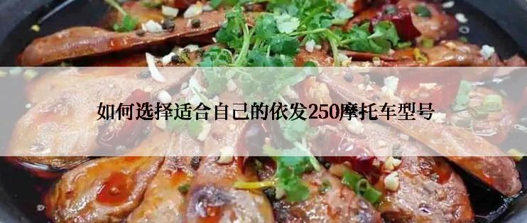  如何选择适合自己的依发250摩托车型号