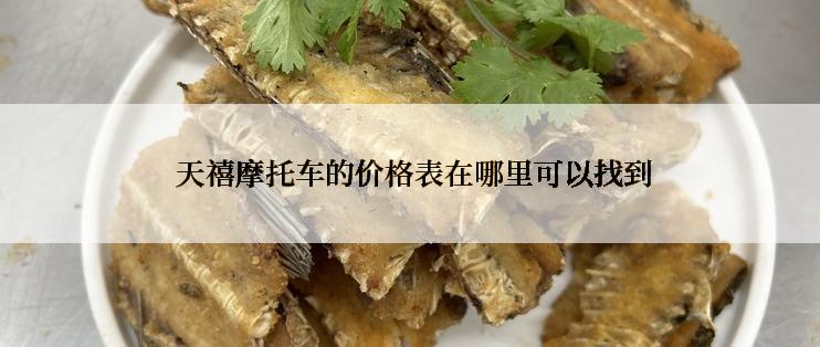  天禧摩托车的价格表在哪里可以找到