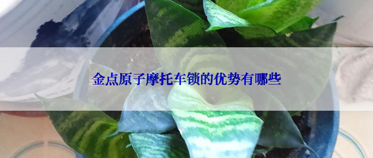 金点原子摩托车锁的优势有哪些