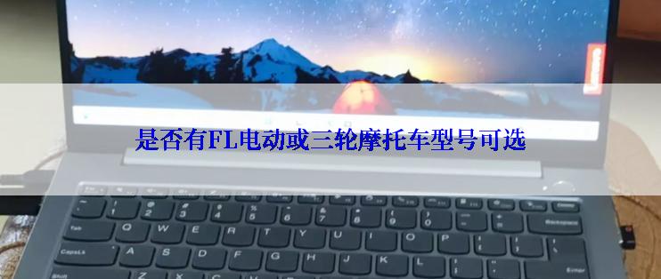 是否有FL电动或三轮摩托车型号可选