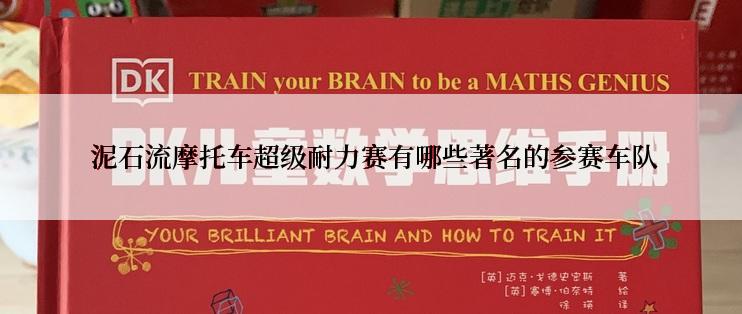  泥石流摩托车超级耐力赛有哪些著名的参赛车队