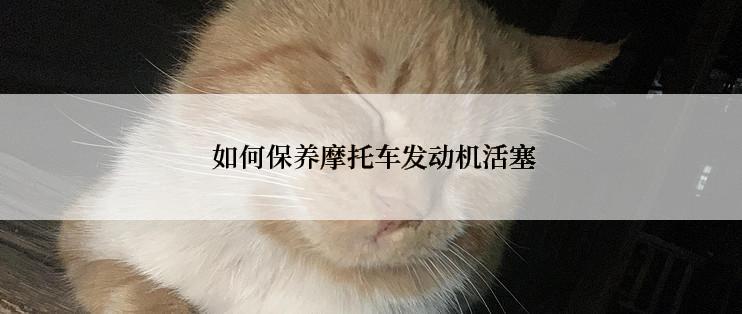  如何保养摩托车发动机活塞