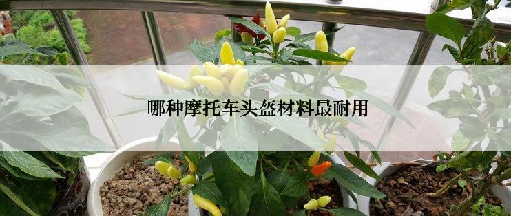  哪种摩托车头盔材料最耐用