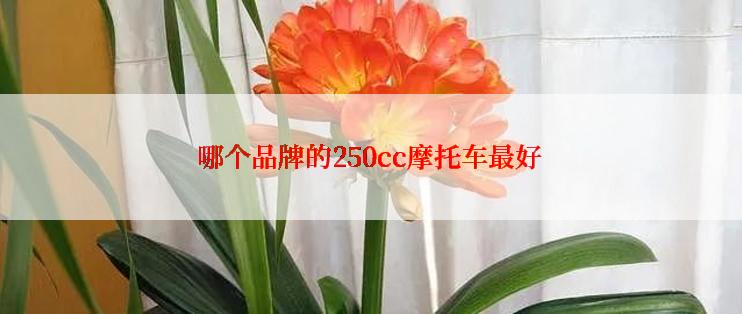 哪个品牌的250cc摩托车最好