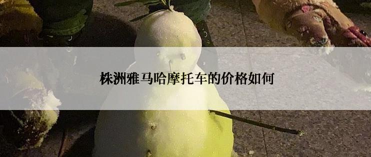  株洲雅马哈摩托车的价格如何