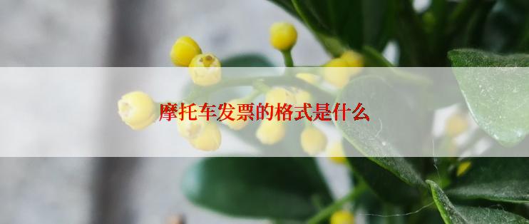 摩托车发票的格式是什么