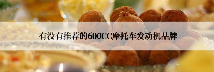  有没有推荐的600CC摩托车发动机品牌