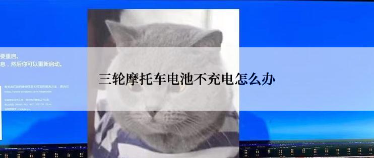 三轮摩托车电池不充电怎么办