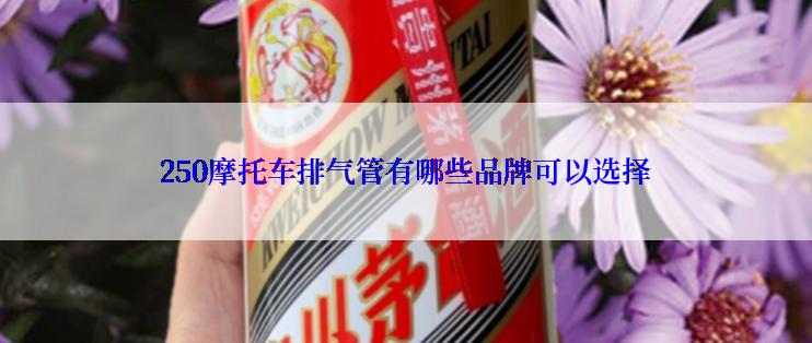 250摩托车排气管有哪些品牌可以选择