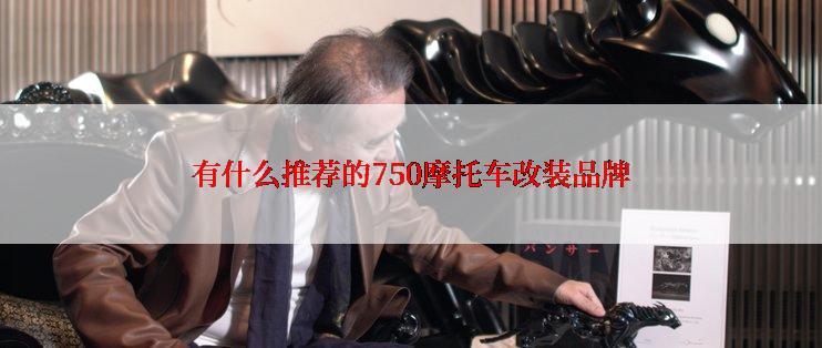 有什么推荐的750摩托车改装品牌