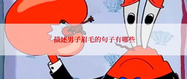  描述男子眉毛的句子有哪些