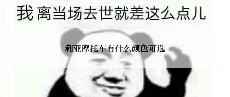 利亚摩托车有什么颜色可选