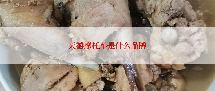 天禧摩托车是什么品牌