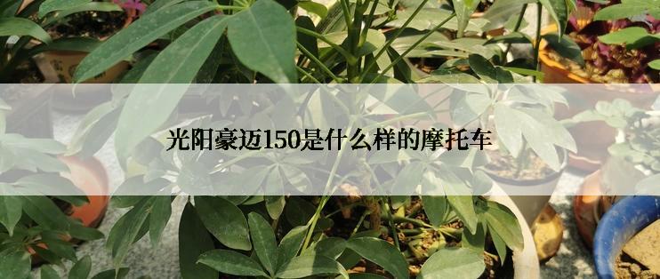 光阳豪迈150是什么样的摩托车