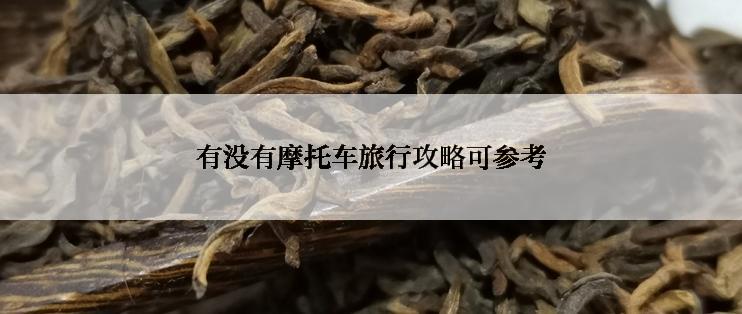 有没有摩托车旅行攻略可参考