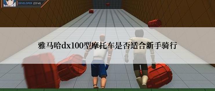 雅马哈dx100型摩托车是否适合新手骑行