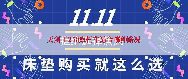 天剑王250摩托车适合哪种路况