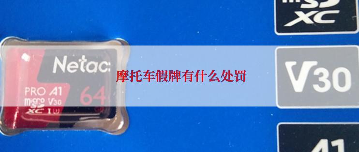  摩托车假牌有什么处罚