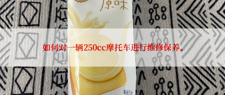 如何对一辆250cc摩托车进行维修保养。