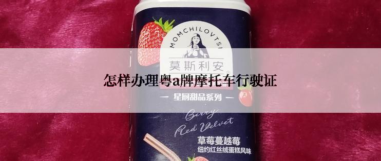 怎样办理粤a牌摩托车行驶证