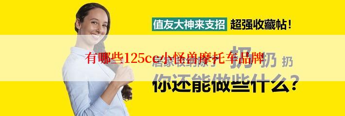  有哪些125cc小怪兽摩托车品牌