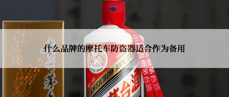 什么品牌的摩托车防盗器适合作为备用