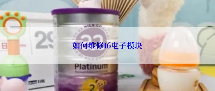 如何维修t6电子模块