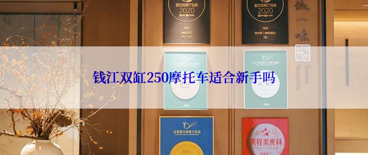 钱江双缸250摩托车适合新手吗