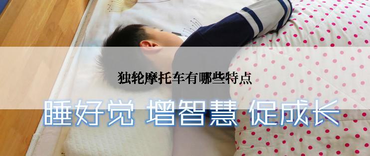 独轮摩托车有哪些特点