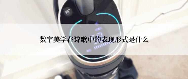 数字美学在诗歌中的表现形式是什么