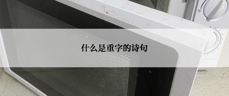 什么是重字的诗句