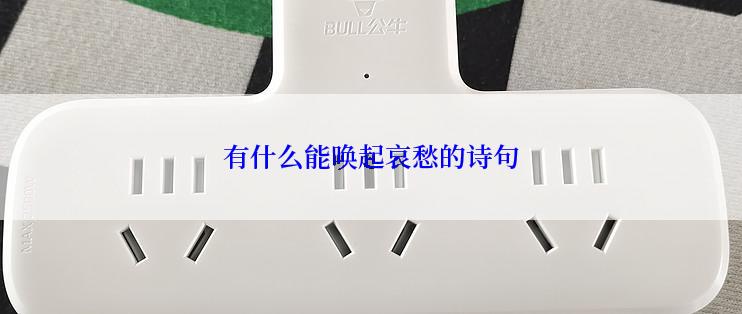 有什么能唤起哀愁的诗句