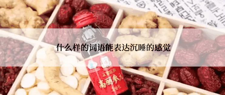  什么样的词语能表达沉睡的感觉