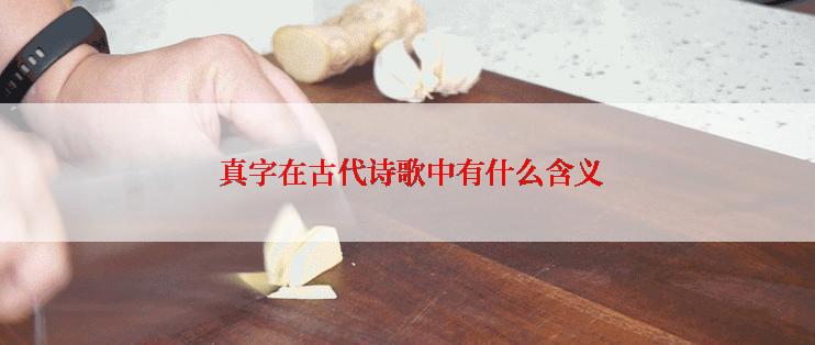  真字在古代诗歌中有什么含义