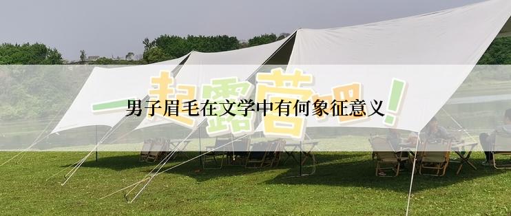 男子眉毛在文学中有何象征意义